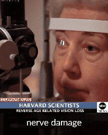 Vision Loss